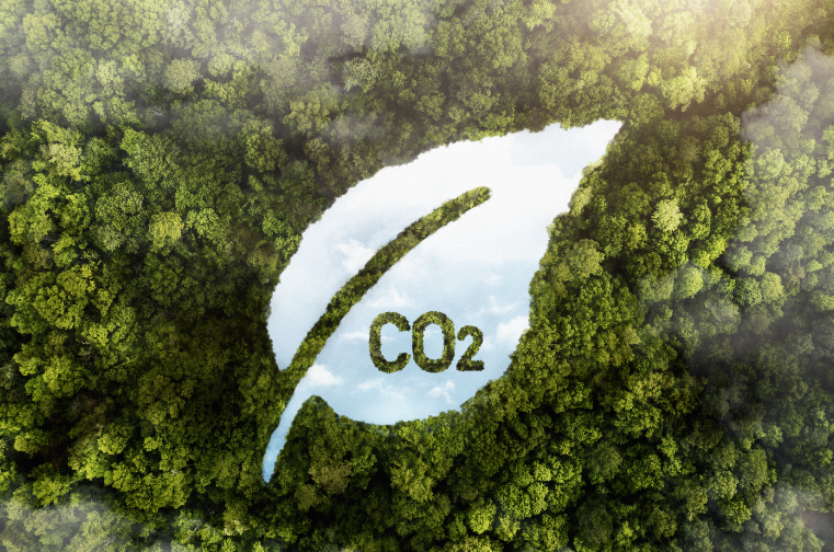 carbon_credit